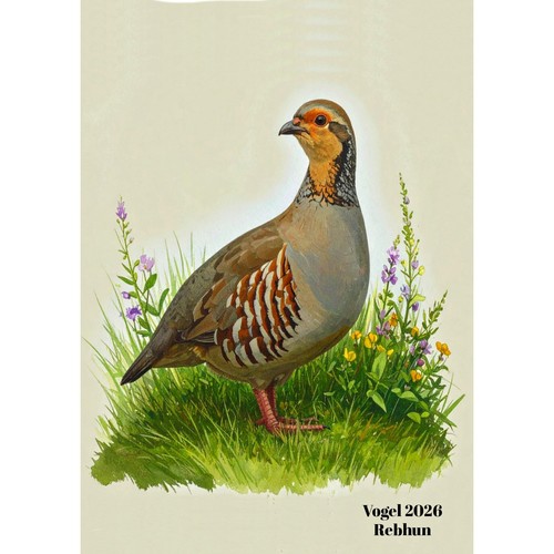 Postkarte vogel rebhuhn - postkarte, vogel.